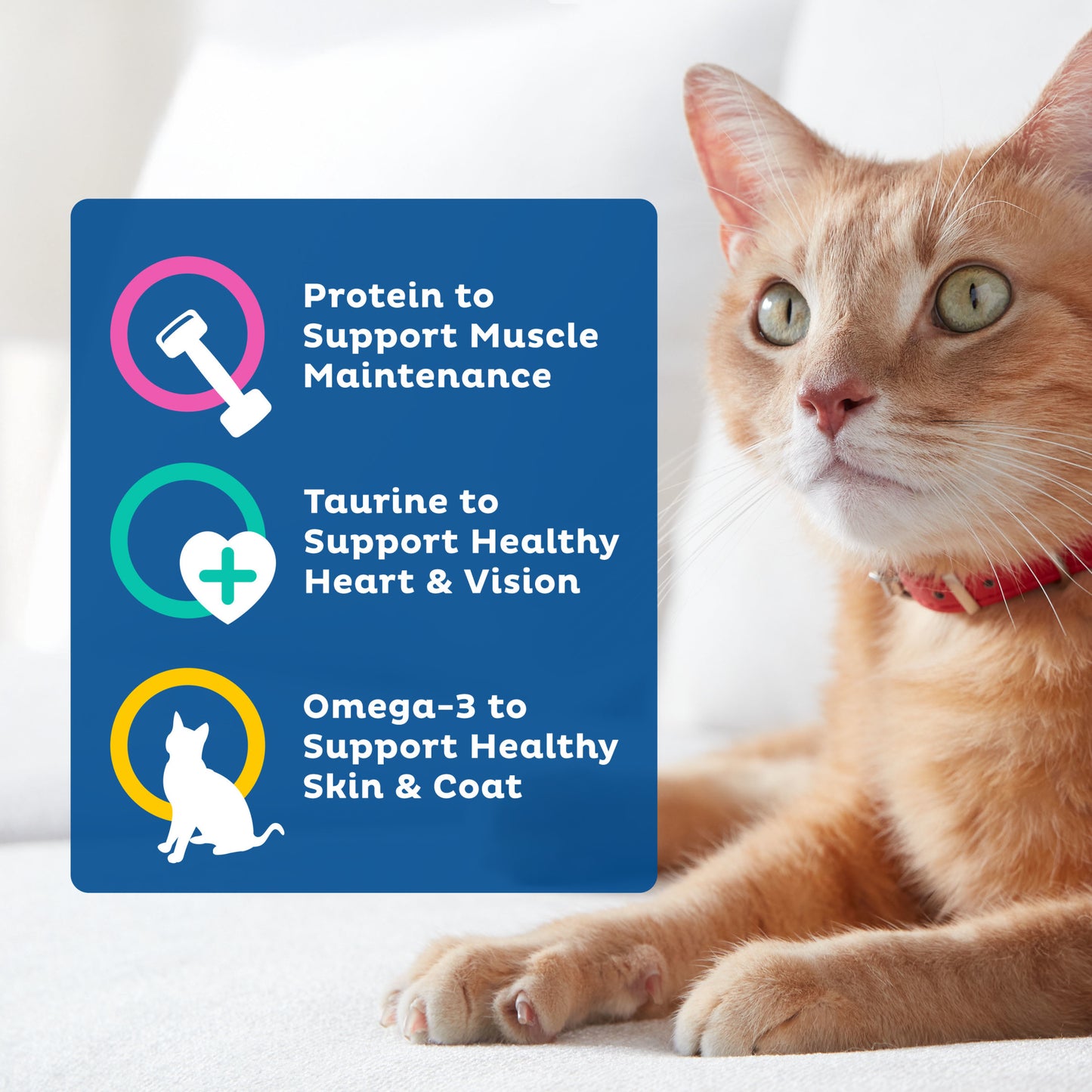 (2 pack) 9Lives Daily Essentials Dry Cat Food for Adult Cats with Chicken, Beef & Salmon, 20 lb. Bag