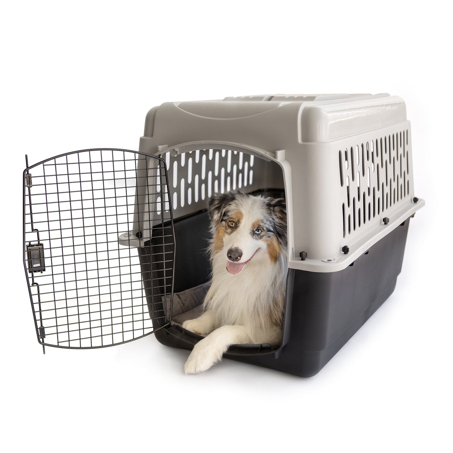 Vibrant Life Medium/Large Plastic Hard-Sided Pet Carrier, Black and Gray, 70 lb Limit