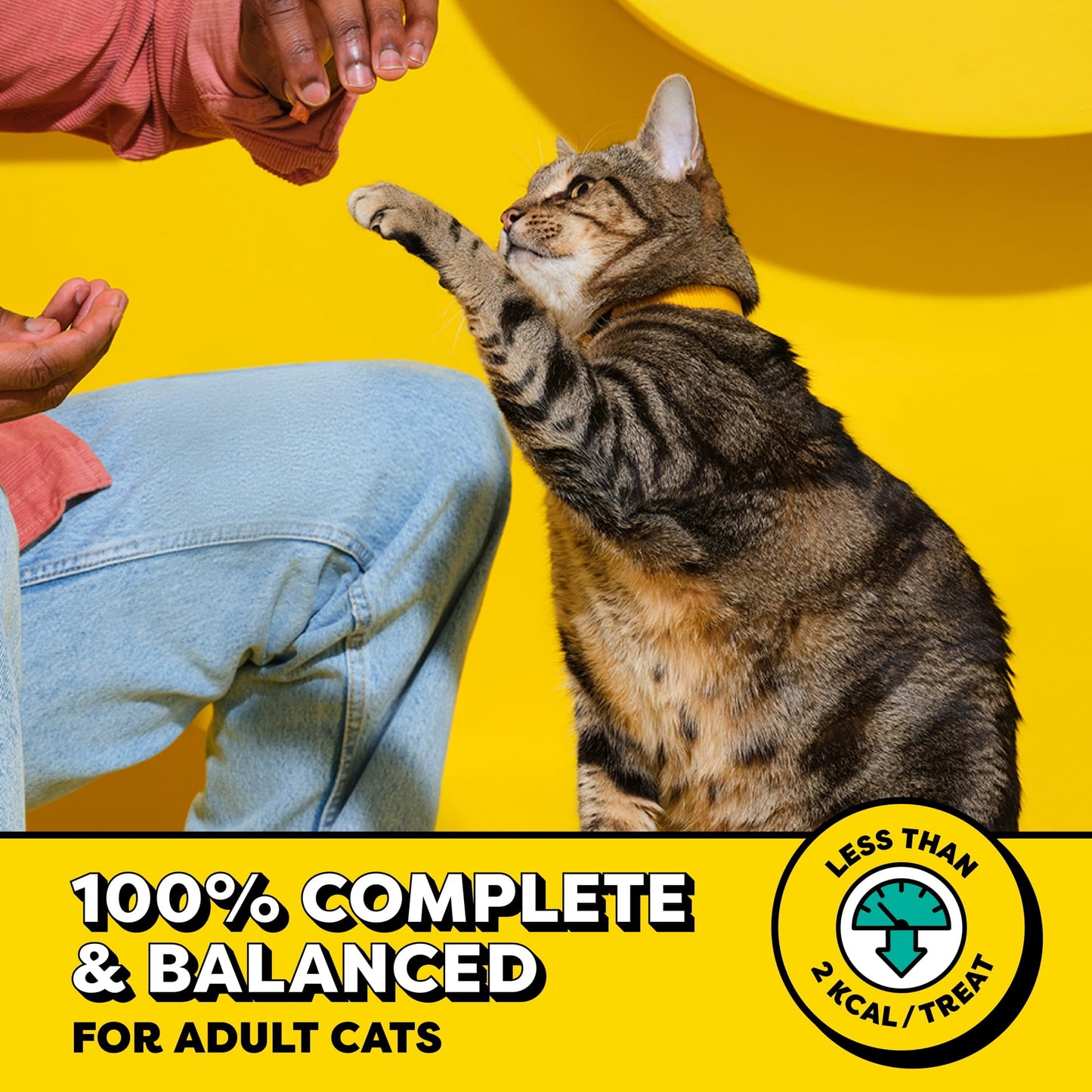 Temptations Cat Treats Classic Crunchy and Soft Cat Treats, Tasty Chicken Flavor, 30 oz. Tub