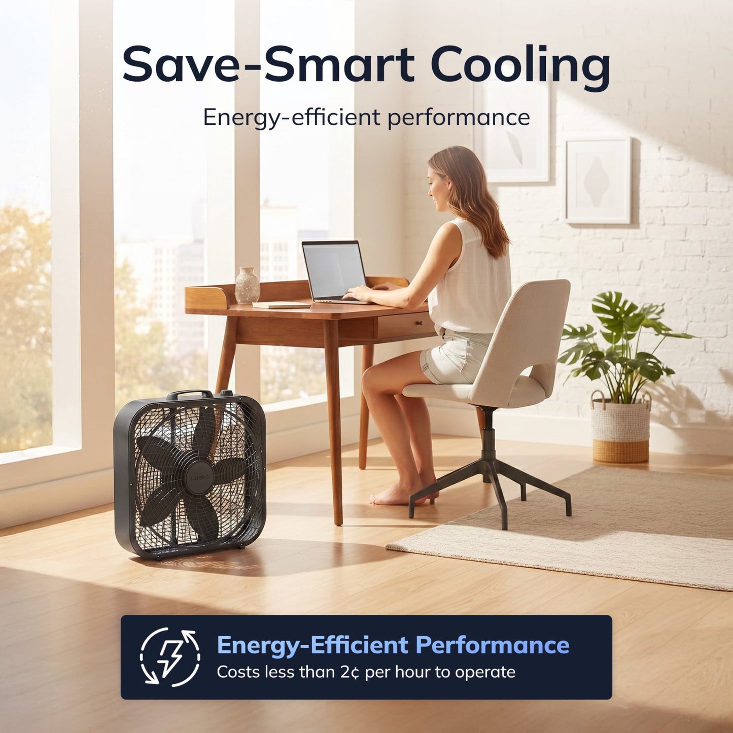 Lasko Cool Colors 20" 3-Speed Weather-Resistant Motor Box Fan B20301