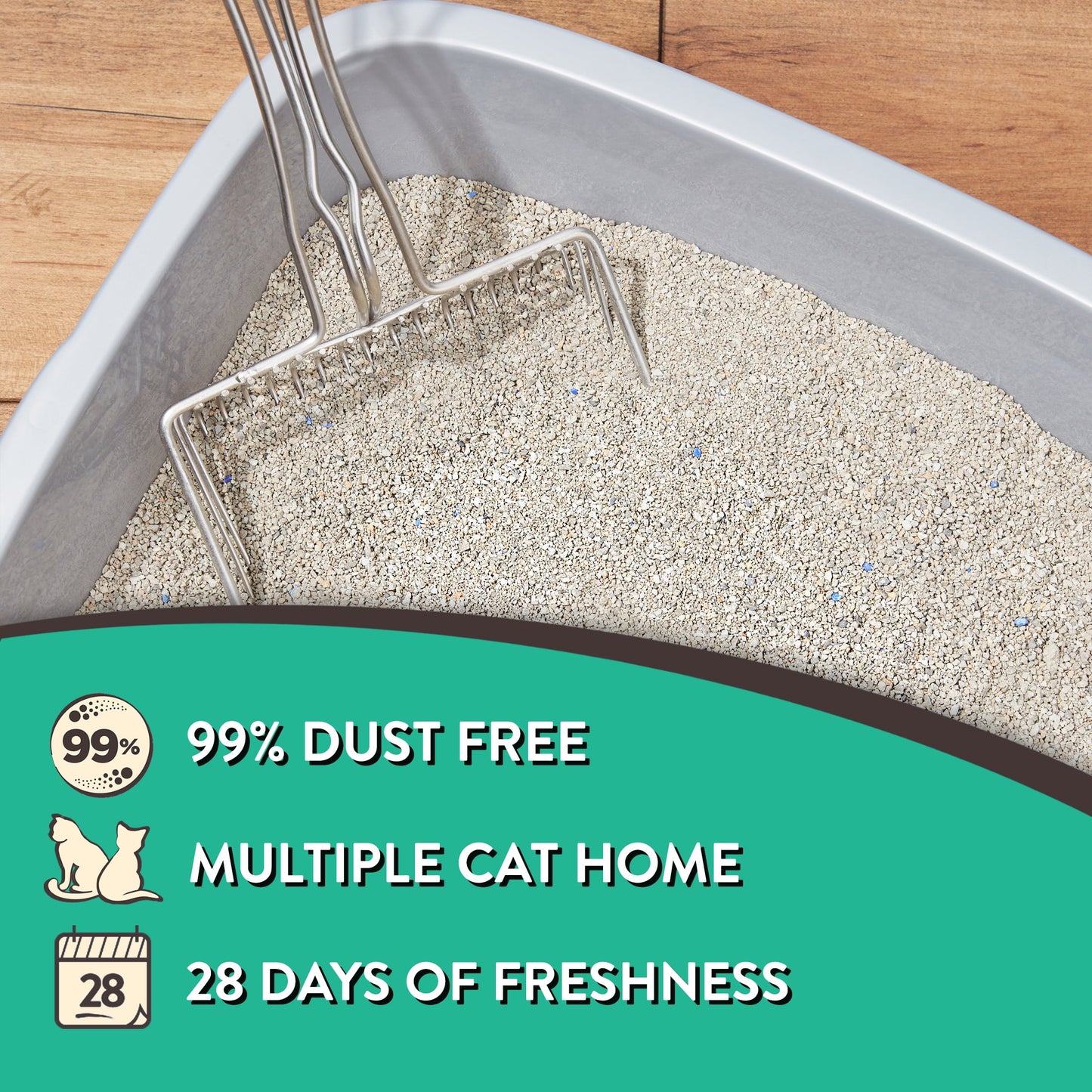(4 pack) Special Kitty Clumping Clay Cat Litter, Fresh Scent, 20 lbs Jug, 1 Count