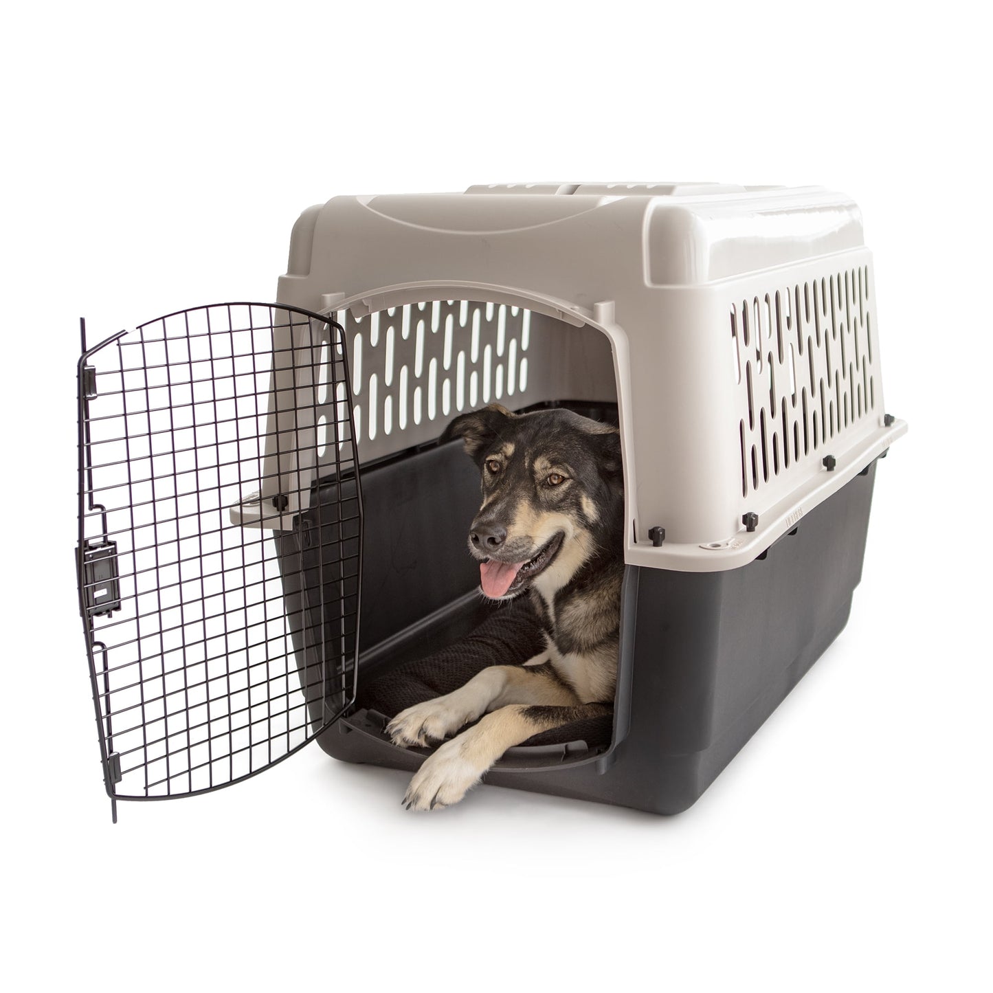 Vibrant Life Medium/Large Plastic Hard-Sided Pet Carrier, Black and Gray, 70 lb Limit