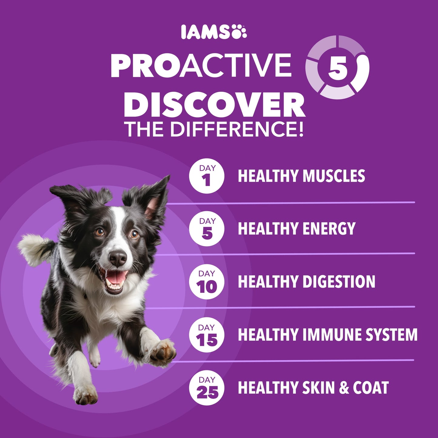 IAMS Advanced Health Dry Dog Food for Healthy Digestion, Adult Dog Food, Real Chicken, 36 lb. Bag