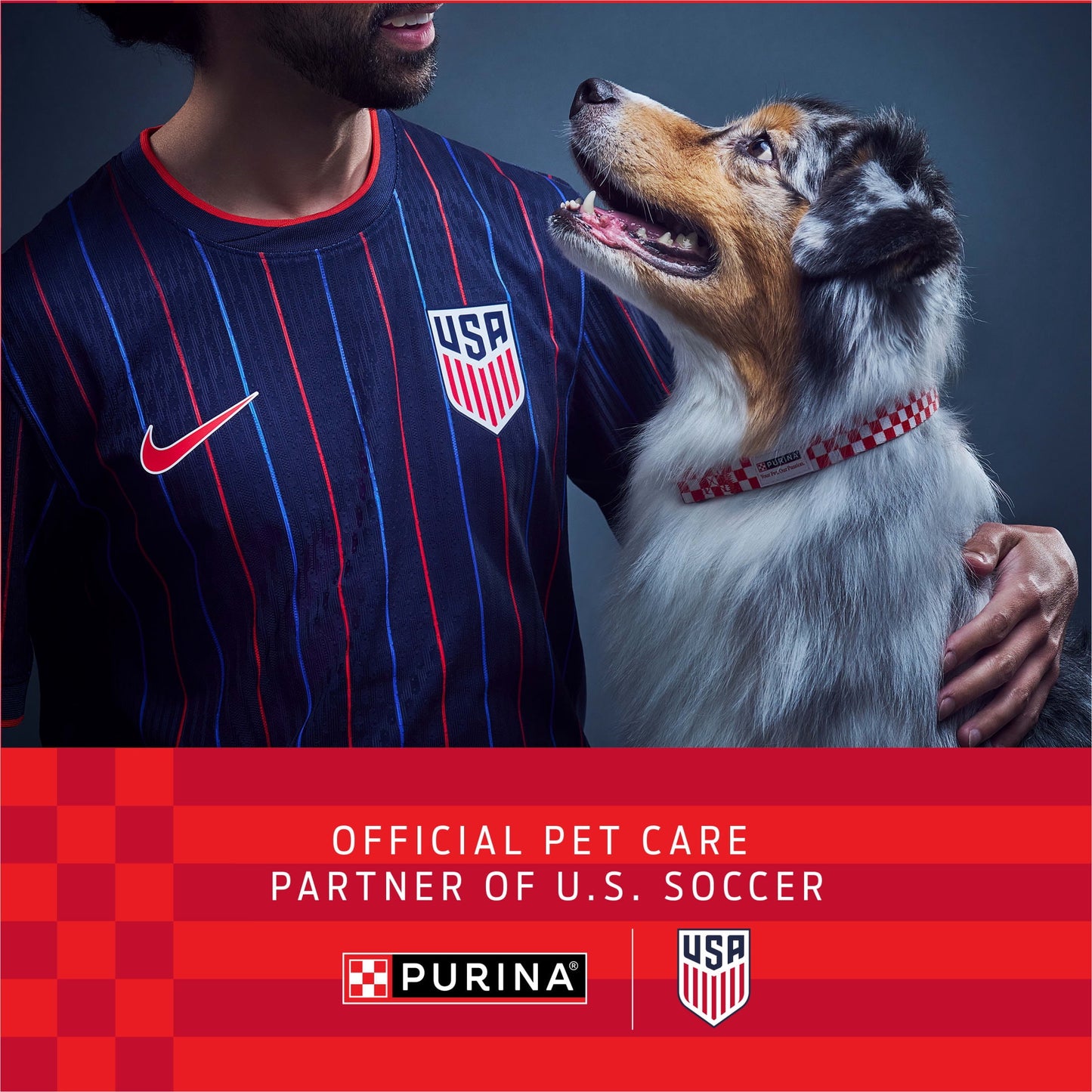 Purina One Plus Puppy Dry Dog Food for Large Dogs High Protein Growth Support, Real Chicken, 31.1 lb Bag