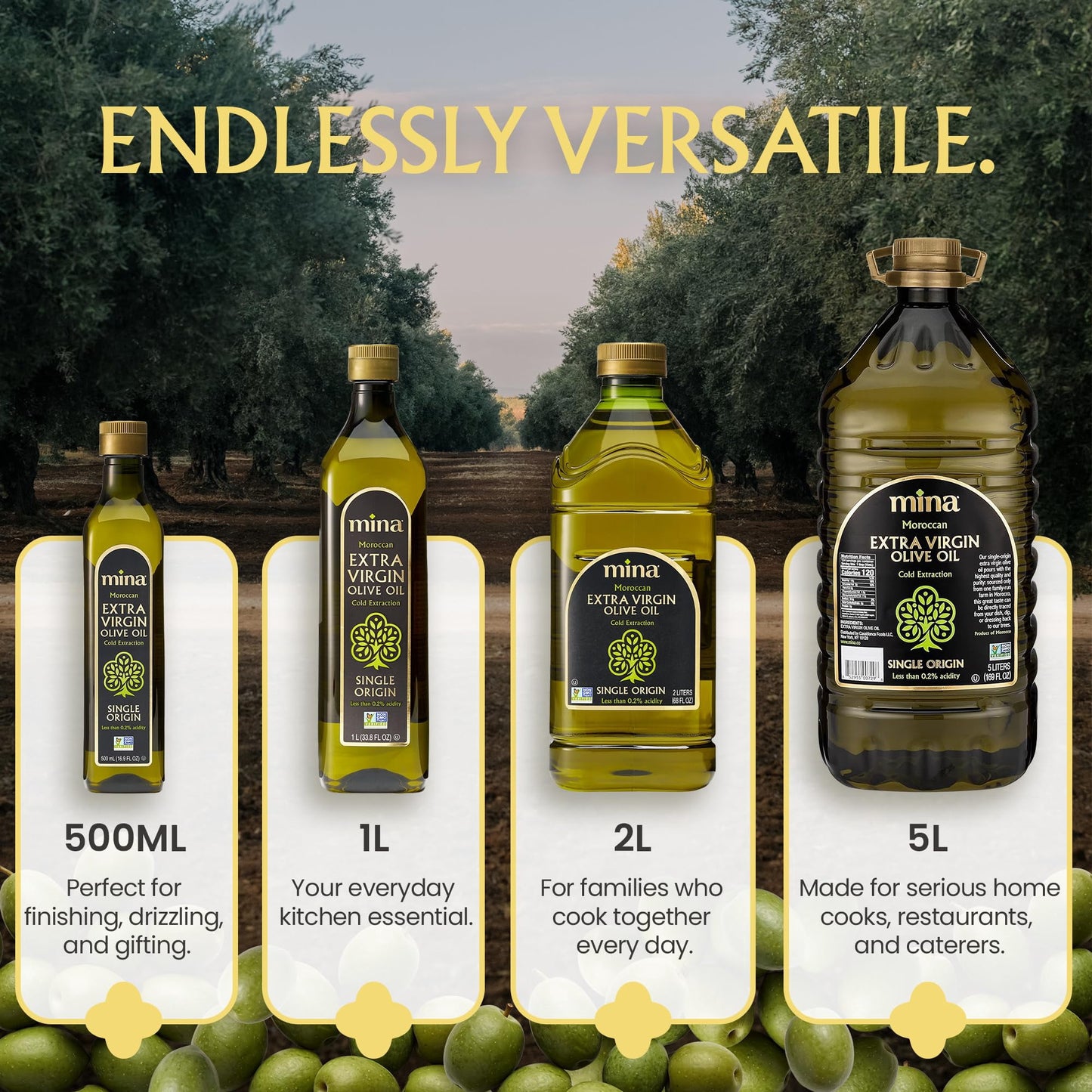 Mina Moroccan Olive Oil Extra Virgin 16.9 Fl Oz (Pack of 6), High Polyphenol Olive Oil, Single Origin Olive Oil 500 ml Each